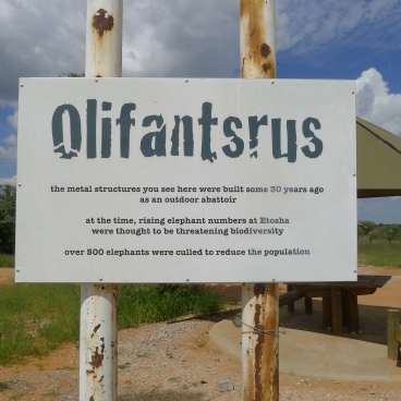 Olifantsrus Etosha National Park