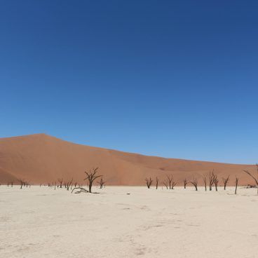Zandduinen Namibie