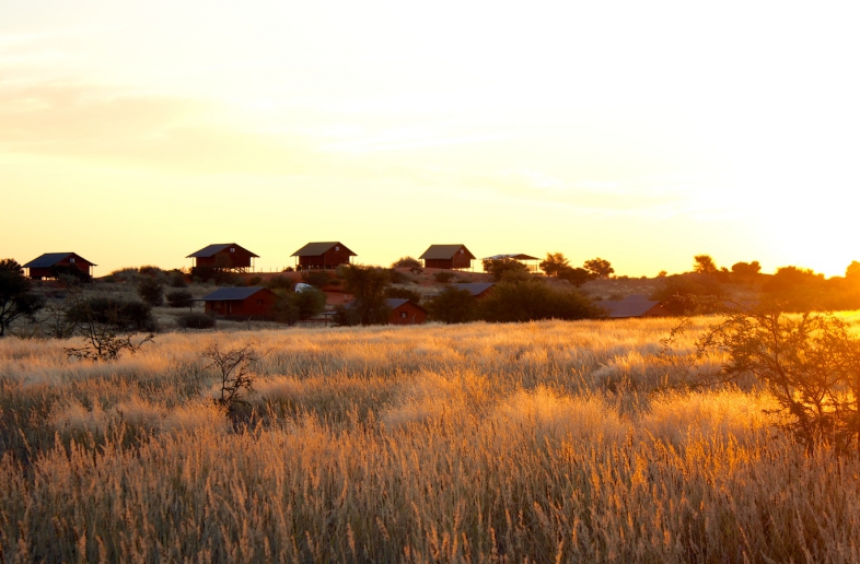 Bagatelle Kalahari Game Ranch – Campsite