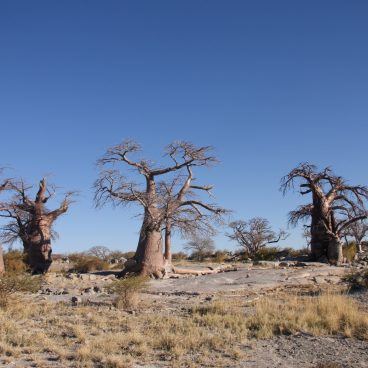 Kubu Island Botswana