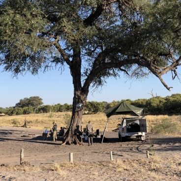 Savuti Botswana
