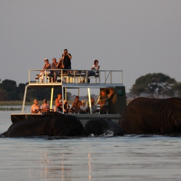 Boat excursion Chobe