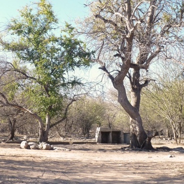 Thakadu Bush camp