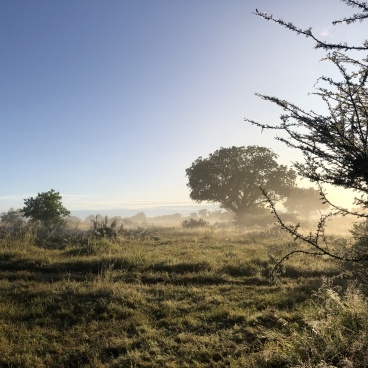 Sunrise Moremi Game Reserve Botswana 4x4