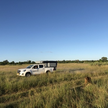 Rondreis Botswana Moremi Game Reserve