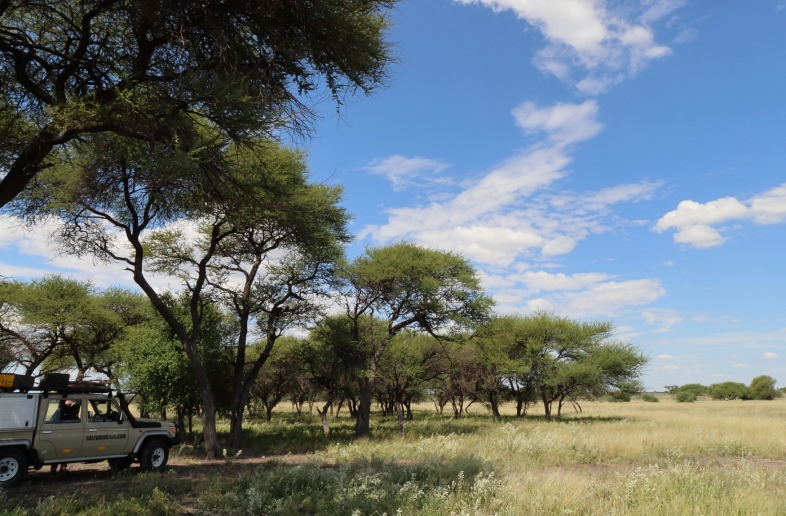 Botswana Kalahari & Okavango Self Drive
