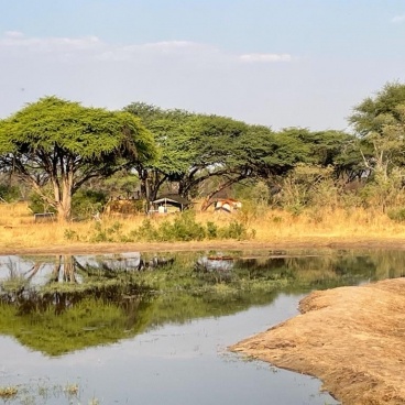 Silwane Acacia Grove Watering Hole and Camping Site