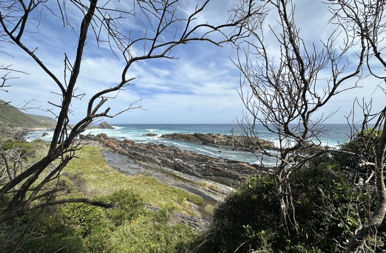 Garden route en Baviaanskloof Hiking & 4×4