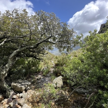 Jonkershoek Swartboskloof Trail