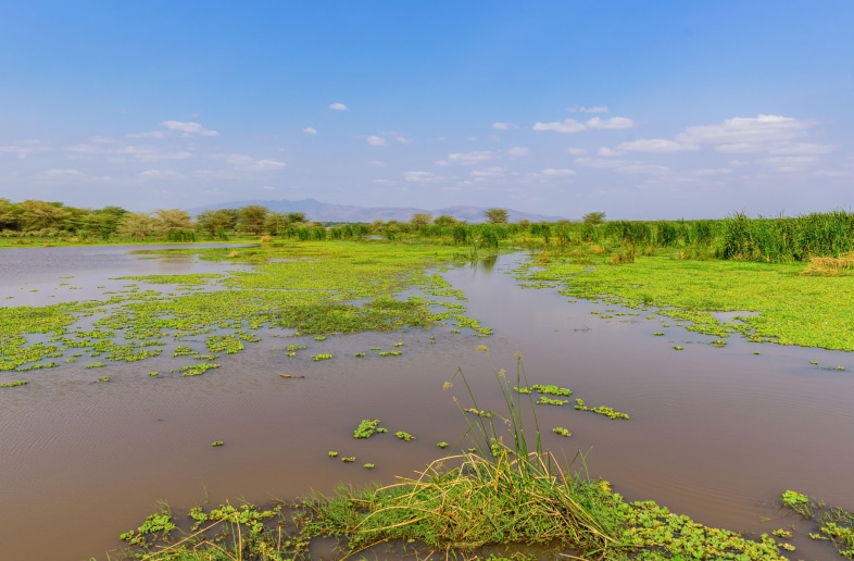 Lake Manyara National Park