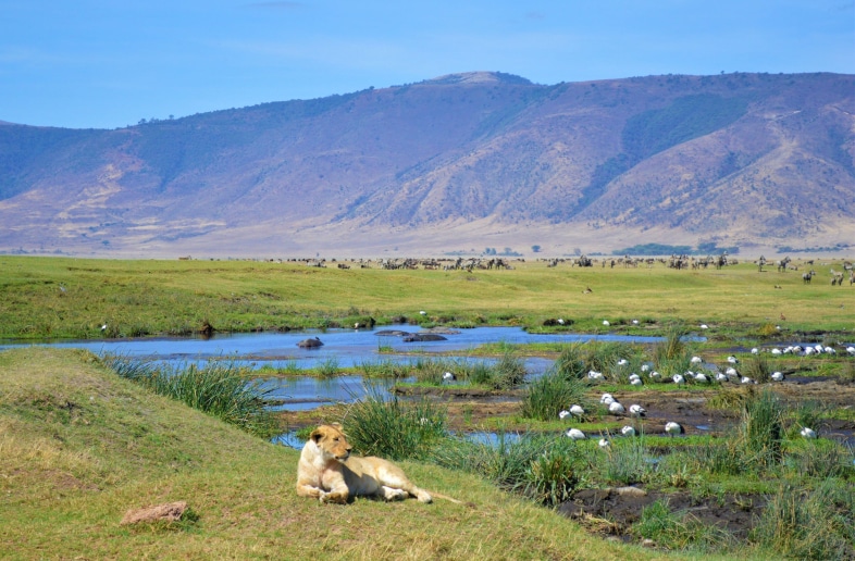Ngorongoro Krater