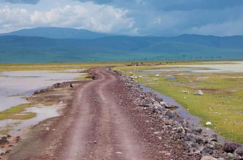 Entreekosten en Permits Tanzania