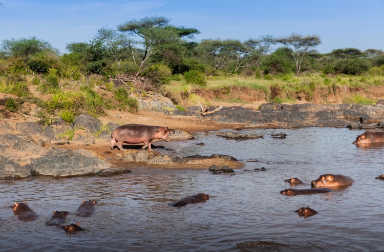 Serengeti National Park